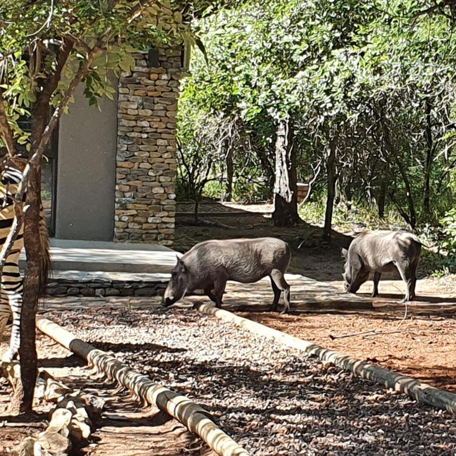 Luvivane Luxury Villa Marloth Park Buitenkant foto
